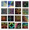 Colorful Security Holographic Stickers/Labels