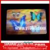 Colorful lenticular sticker cartoon