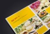 Company profile booklet printing