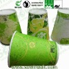 Compostable hot cups