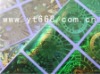 Comprehensive Hologram Anti-counterfeiting Sticker