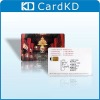 Contact smart card