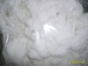 Cotton Fluff Pulp