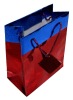 Custom Color Printing Paper Shopping Bag