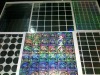 Custom hologram labels