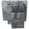 Customized Promotional Paper bag(PRP-008)