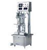 DGP-CZ-2B Weight Filling Machine