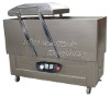 DZS-600/2SB Double Chamber Vacuum Packing Machine