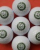 Digital Inkjet Printer for Golf Ball Printing(A3+ Size)