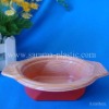 Disposable Blister Food Plastic Tray