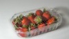 Disposable PP tray with lid for food packaging