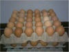 Disposable Paper Pulp 30 Eggs Egg Tray Carton