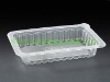 Disposable Plastic Food Tray