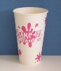 Disposable  paper cup