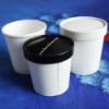 Disposable soup cup container