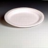 Disposable white paper plate