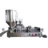 Double Head Filling Machine for Liquid and Paste (tomato sauce, chili sauce, mineral water)XBGZ-1000W