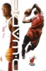 Dwane Wade Poster Printing