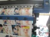 Eco Solvent Printer (5)