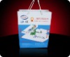 Eco-friendly paper bag(PA-0231)