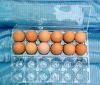 Egg Packing,egg box,biodegradable plastic