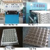 Egg Tray/Box Machine (ZMW 8/3)