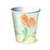 Egypt Pack paper cup