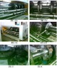 Electrical Image Positioning Grooving Machine(Cardboard Packing Machine)