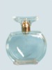 Empty Glass Perfume Bottle