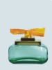 Empty Glass Perfume Bottle