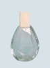 Empty Glass Perfume Bottle