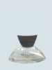 Empty Glass Perfume Bottle