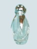 Empty Glass Perfume Bottle