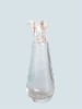 Empty Glass Perfume Bottle