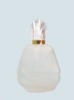 Empty Glass Perfume Bottle