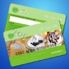 Factory Supply High Speed Gift Card Flatbed Printer