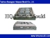 Fashionable tray mould