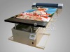 Flatbed Glass Metal Wood PVC Printers