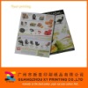 Folded Flyer printing from China supplier