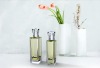 Free design perfume bottle GP1016