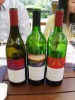 Fresh Wine Labels