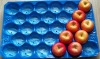 Fruit Tray for Apple,39*59cm,Blue,28#,for the packing of Tomato,Peach,Nectorine