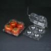 Fruit container+ISO9001