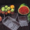 Fruit tray