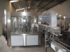 Fully Automatic Liquid Filling Machinery