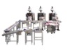 GFDP/10 Automatic Bag Packing Machine Set