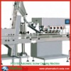 GMP standard PXG-100 Automatic screw capping machine