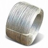 Galvanized Wire