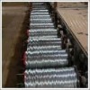 Galvanized Wire