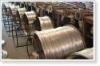 Galvanized Wire